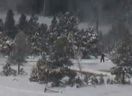 Footage recorded near Old Faithful geyser in Yellowstone National Park includes a creature walking upright that some say is Bigfoot. 