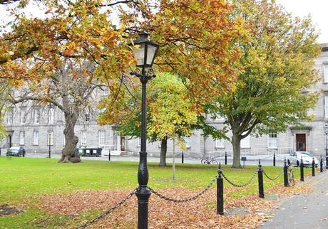 Verde irlandés en el Trinity College, Dublin