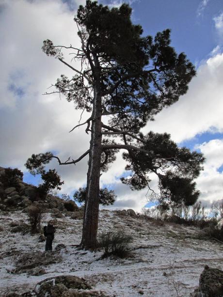 SIERRA DE ALMENARA (I), GUADARRAMA