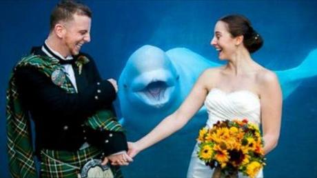 Photobombing en tu boda