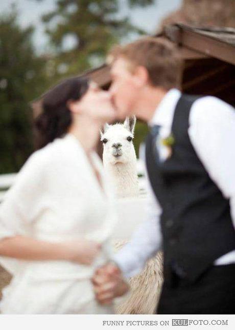 Photobombing en tu boda