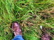 ¿Manipuladores tergiversadores? gracias.