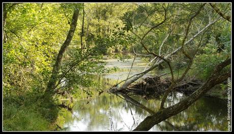 Paseo de los Enamorados Cervo Galicia