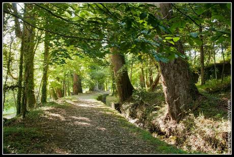 Paseo de los Enamorados Cervo Galicia