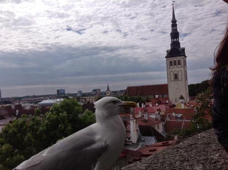 Tallín. Guía para visitar la ciudad. Parte II