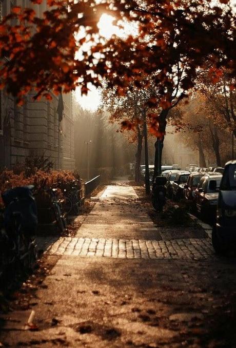 Poema #1: Caracol de otoño.