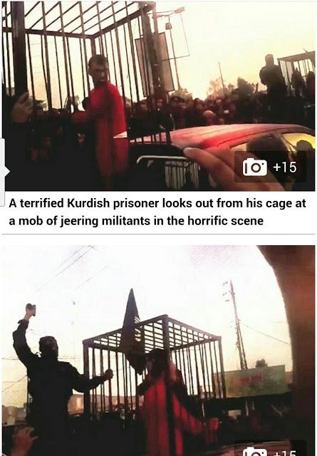 En jaulas, para ser quemados vivos