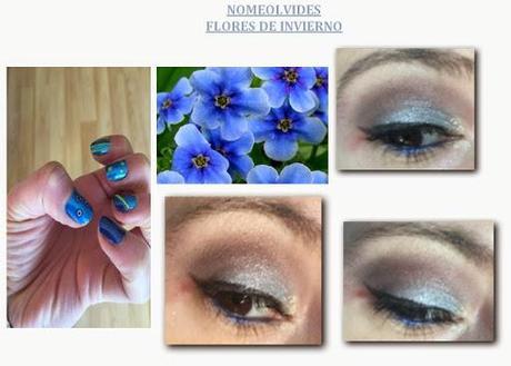 Concurso FLOR DE INVIERNO: Las participantes.