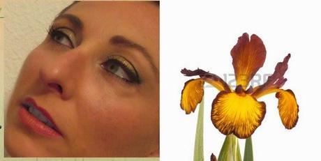 Concurso FLOR DE INVIERNO: Las participantes.