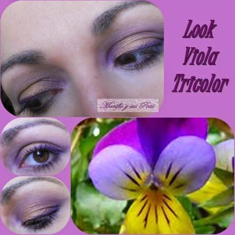 Concurso FLOR DE INVIERNO: Las participantes.