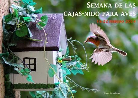 Semana de las Cajas-nido para Aves 14-22 febrero