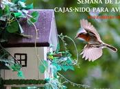 Semana Cajas-nido para Aves 14-22 febrero