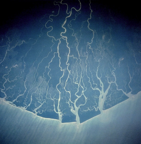 Imagen aérea del Delta del Níger