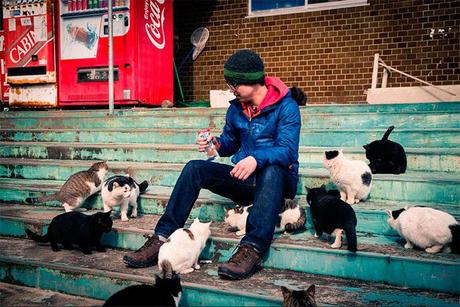 isla de los gatos en Japón