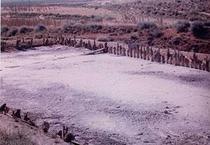 Las Salinas de Espartinas