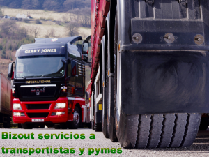 Bizout servicios a transportistas y pymes