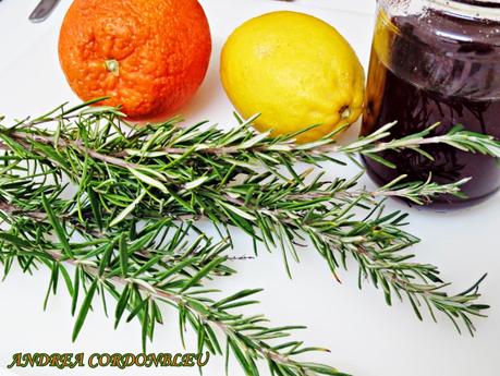 REMEDIO NATURAL PARA CURAR UNA GRIPE DE MIERDA BY GIPSY CHEF