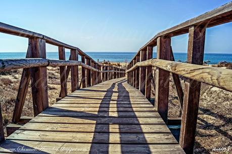 PUNTA UMBRÍA (Huelva): BOSQUE DE LOS ENEBRALES