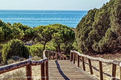 PUNTA UMBRÍA (Huelva): BOSQUE DE LOS ENEBRALES