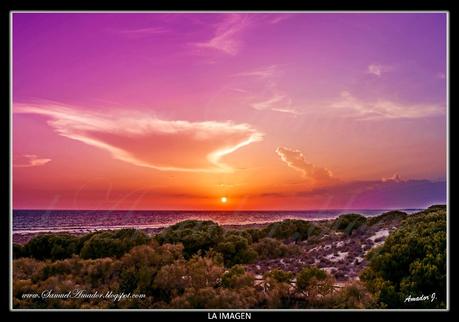 PUNTA UMBRÍA (Huelva): BOSQUE DE LOS ENEBRALES