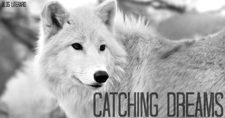 Entrevista: Callie Vee - Catching Dreams