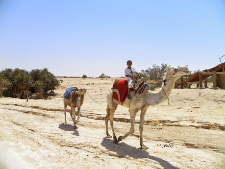 TUNEZ: EL PALMERAL DE TOZEUR Y LA MUJER POETA