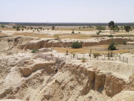 TUNEZ: EL PALMERAL DE TOZEUR Y LA MUJER POETA