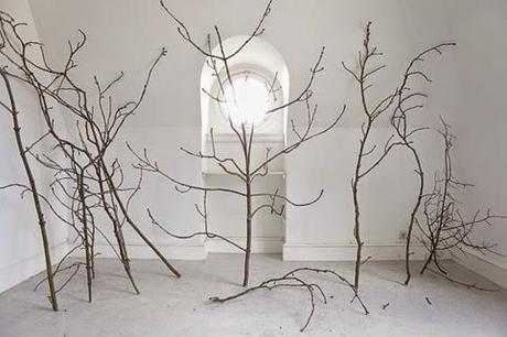 Fotografía de Soledad Córdoba Fotografía de Soledad Córdoba,Colección UNED