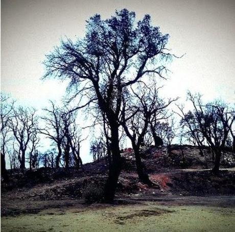 Fotografía de Llorenç Uga Dubreuil Fotografía de Llorenç Uga, Colección de la UNED
