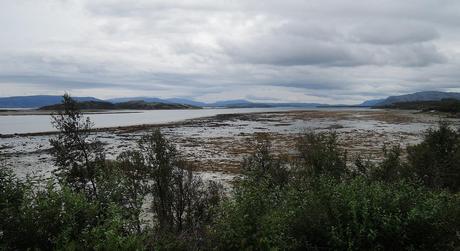 No dejan de sorprenderme las extensísimas zonas de marisma que descubre la bajamar