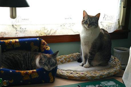 Trabajando en buena compañía cata & toñita_8_20140202 - Version 2