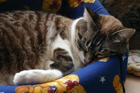 Trabajando en buena compañía cata & toñita_13_20140202 - Version 2