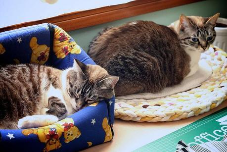 Trabajando en buena compañía cata & toñita_12_20140202 - Version 2