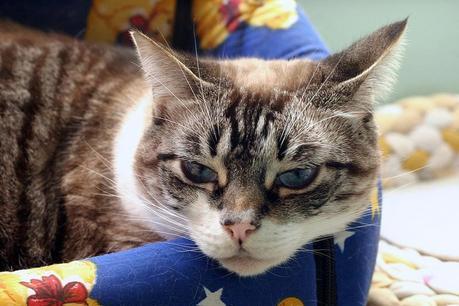 Trabajando en buena compañía cata & toñita_11_20140202 - Version 2