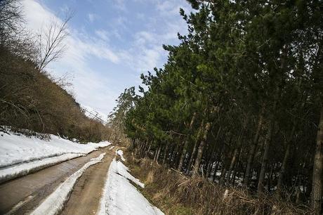 Barcenillas, Cantabria