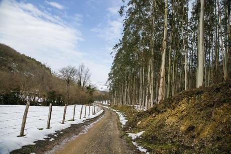 Barcenillas, Cantabria