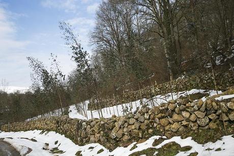 Barcenillas, Cantabria