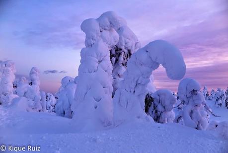 Laponia, la inmensidad inhóspita