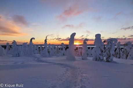 Laponia, la inmensidad inhóspita