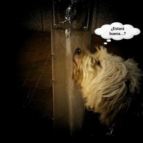 estamos tan agustito