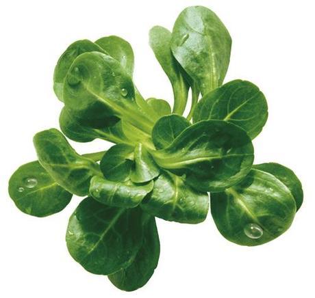 Qué alimentos debes tomar y cuáles no para mejorar sobre la bici Qué alimentos debes tomar y cuáles no para mejorar sobre la bici