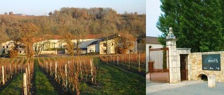 PHYT'S, siente la experiencia de la Bio-Cosmética Activa