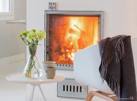 CHIMENEAS: CALOR DE HOGAR