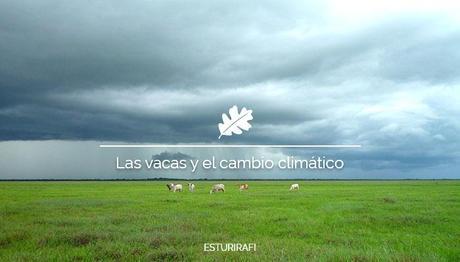 Las vacas y el cambio climático