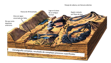 La historia evolutiva del hombre
