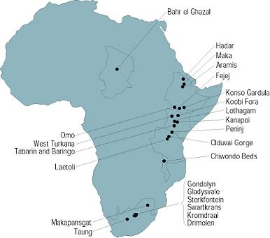 La historia evolutiva del hombre