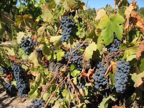 Review: Serum Resplandor Antimanchas