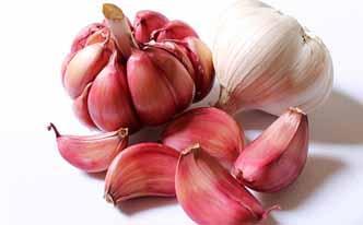 Tratamiento para hemorroides elaborado con ajo Tratamiento para hemorroides elaborado con ajo