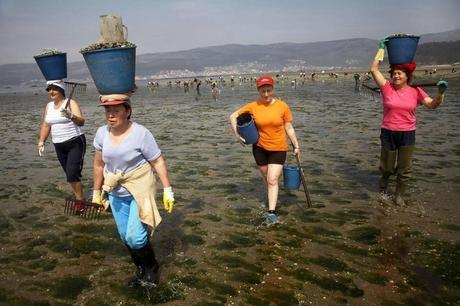 Un proyecto que no fue porque no gustó Un proyecto que no fue porque no gustó
