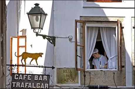 Un proyecto que no fue porque no gustó Un proyecto que no fue porque no gustó